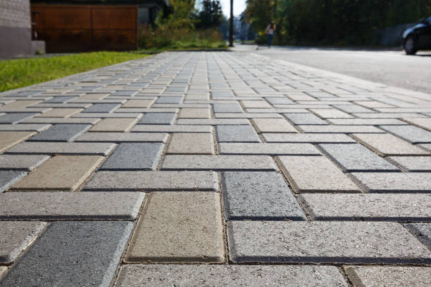 Best Driveway Pavers Near Me  in Rogersville, TN