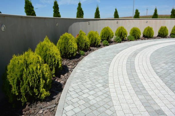 Best Driveway Paving Near Me  in Rogersville, TN
